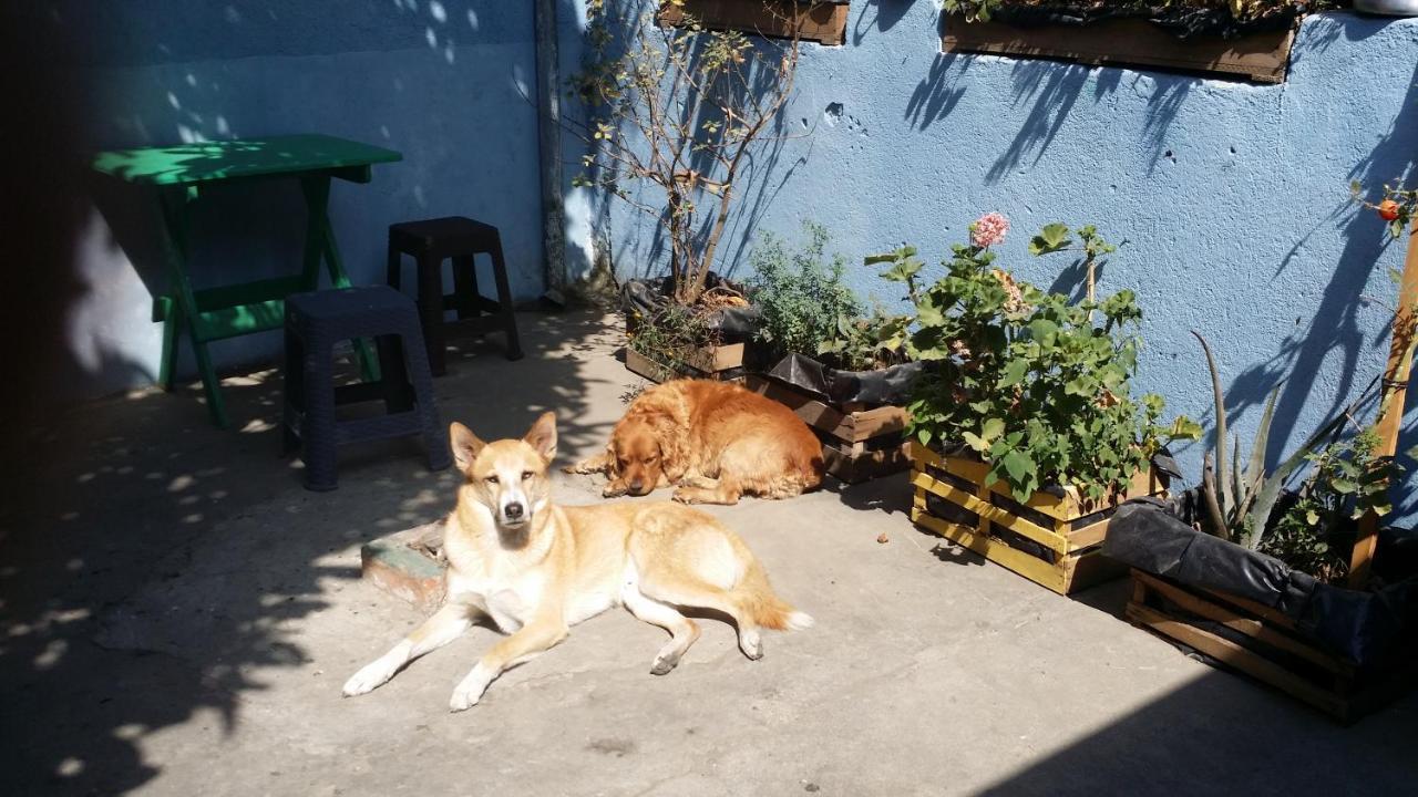 Casa Encuentro Hotel Quetzaltenango Bagian luar foto